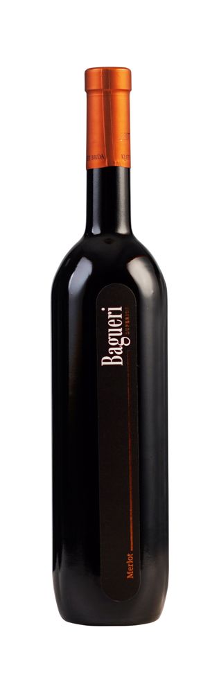 Bagueri Merlot 2016