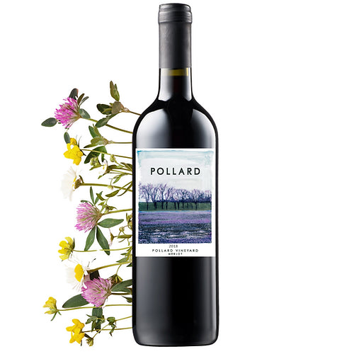 Pollard Merlot 2021
