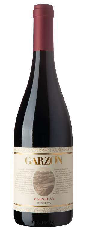 Garzon Marselan Reserva