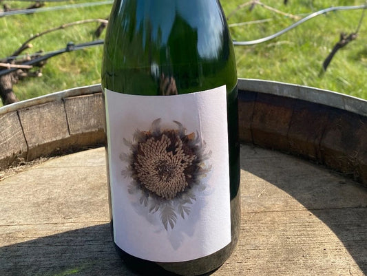 2017 Alli Lanphear Sparkling Pinot-Chard